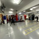 strong boxing gym 이미지
