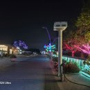 아라마루 이미지