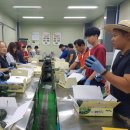 귀농귀촌체험민박 이미지