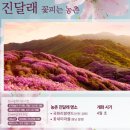 국화리마을