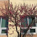 나를 찾아가는 사주명리학 이미지