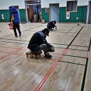 처인초등학교 이미지