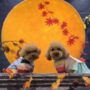 개러리아 송파점 이미지