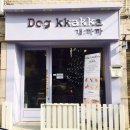 까까요 dog 이미지