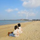 방아머리로 | 안산 대부도 방아머리해수욕장 당일치기 바다여행