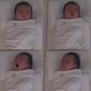 파리바게뜨 송우리점 | 포천 산후조리원 아르테미스 솔직 후기(가격, 식사, 주차, 할인 꿀팁)