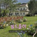 지리산밀드플레 | 대전 야외웨딩홀 밀드플레 홀투어 후기 | 가격·패키지 총정리