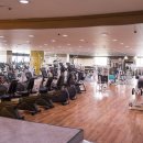 보보스스포츠 이미지