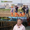 풀뜯소 농장 이미지