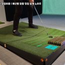 리드스크린골프