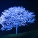 7tree빌딩 이미지