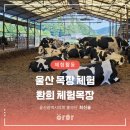 환희목장 이미지