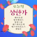 에스아이코퍼레이션