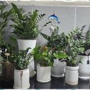 세종노인복지센터 이미지