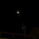 양철지붕위의고양이 이미지