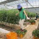 서면농장 이미지