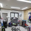 콩이 애견샵 이미지