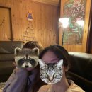 필제주 게스트하우스 이미지