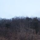 남성공원 이미지