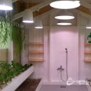 다음 카카오 어린이집 이미지