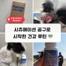 [시츄 면역력 관리템] 트랜스퍼포인트 베타글루칸 솔직 후기 (시츄에이션 공구)