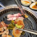 정일품미트 | 대전 맛집<고기원칙>방문 후기