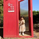 익산 아가페 정원 🌳🌳🌲🌲🌻🌻 이미지