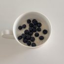 부일파크 | 콩포트,누룽지 삼계탕,1박2일 삼척 가족 여행,부일막국수,쏠비치 삼척,한촌설렁탕,박쥐동굴,숟가락젓가락)