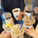 블루샥수영 - 72762 | [부산 여행] 부산 여행 중 두 번 방문한 블루샥커피, 샥라떼 맛집 인정!