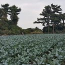 성산별장 네이버블로그
