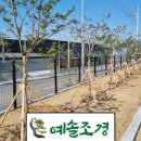 예솔조경 이미지
