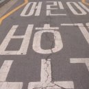 주정차17 Daum카페