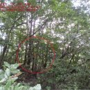 보광보건진료소 이미지