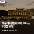 동백로 | 웨스틴 조선 부산 호텔 65퍼 할인 | 해운대 오션뷰 5성급 숙소 25만원대 특가