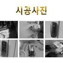 까치열쇠 이미지