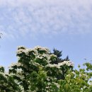 장충파출소 이미지