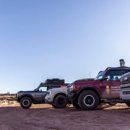 B/F Dog Talk Talk 이미지