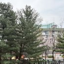 반석어린이공원 네이버블로그