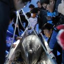 고래안마시술소 이미지