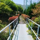 원랜드 골프연습장 이미지