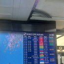 신산 막내해녀 화장실 | 제주살이 4주차 (1) 🐹🎃✈️