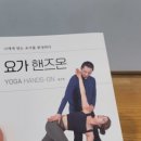 핸즈요가