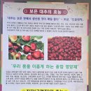 [보은] 김세복 대추 밀냉면