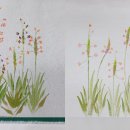 야생화천아트 이미지