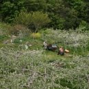 용천농장 이미지