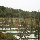 예천농장 이미지