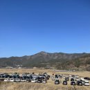 사람들밀양삼랑진1호 | 2026.03.22 밀양 삼랑진 딸기 축제 방문후기