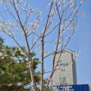 양심부동산중개 | 55회 외환전문역 1종(2026.03.28) 시험후기/복기