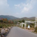 벨포 이미지