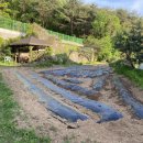 대명농자재 이미지